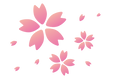 さくら