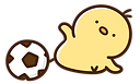 ひよこサッカー