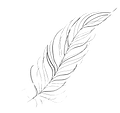 羽