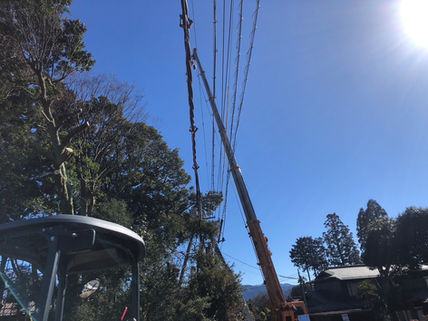 配電線路支障木伐採工事