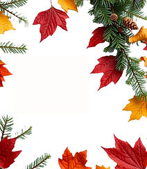 winter greenery and fall leaves  togethe