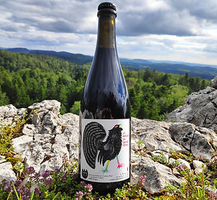 vin le Grand Tétras Gamay