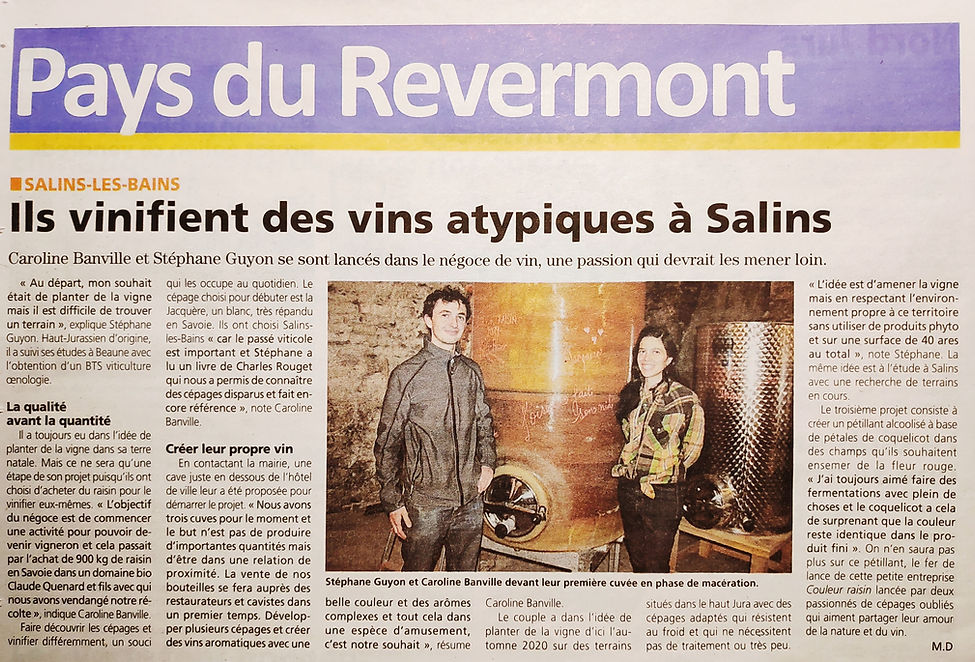 article de journal Couleur Fleur Salins-les-Bains