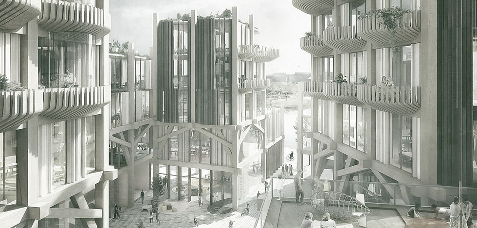 Rendering of plans for timber buildings from Heatherwick Studios for the now defunct Sidewalk Labs development in Toronto. Image Credit: Heatherwick Studios