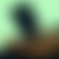 Aspiration raises another $315 million for its green banking alternative