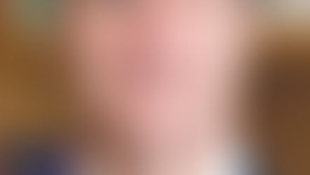 O FLAMENGO – DE ZICO A FELIPE LUIS