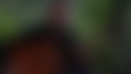 Desenho de Som e Arte Sonora no Cinema