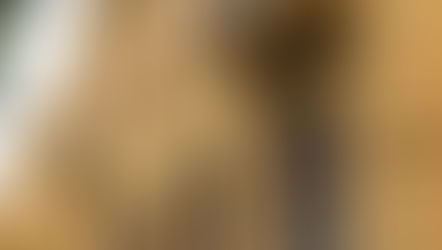 Novembro Negro na ESPM Rio: Criatividade, História e o Poder da Cultura