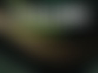 A metamorfose da Vênus Platinada: Ernesto Rodrigues encerra trilogia definitiva sobre a Globo 