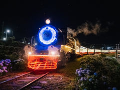Natal Sobre Trilhos: Maria Fumaça Celebra 15 Anos de Magia na Serra Gaúcha