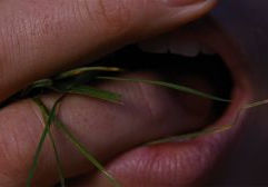 “O Morro dos Ventos Uivantes”: Warner Bros. Pictures lança trailer da nova adaptação