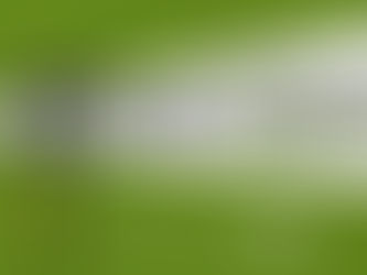 Cinema como ferramenta de alerta e preservação