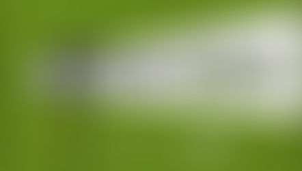 Cinema como ferramenta de alerta e preservação