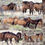 Thumbnail: Carter Reservoir Mustangs: Surviving The Wild  CATALINA