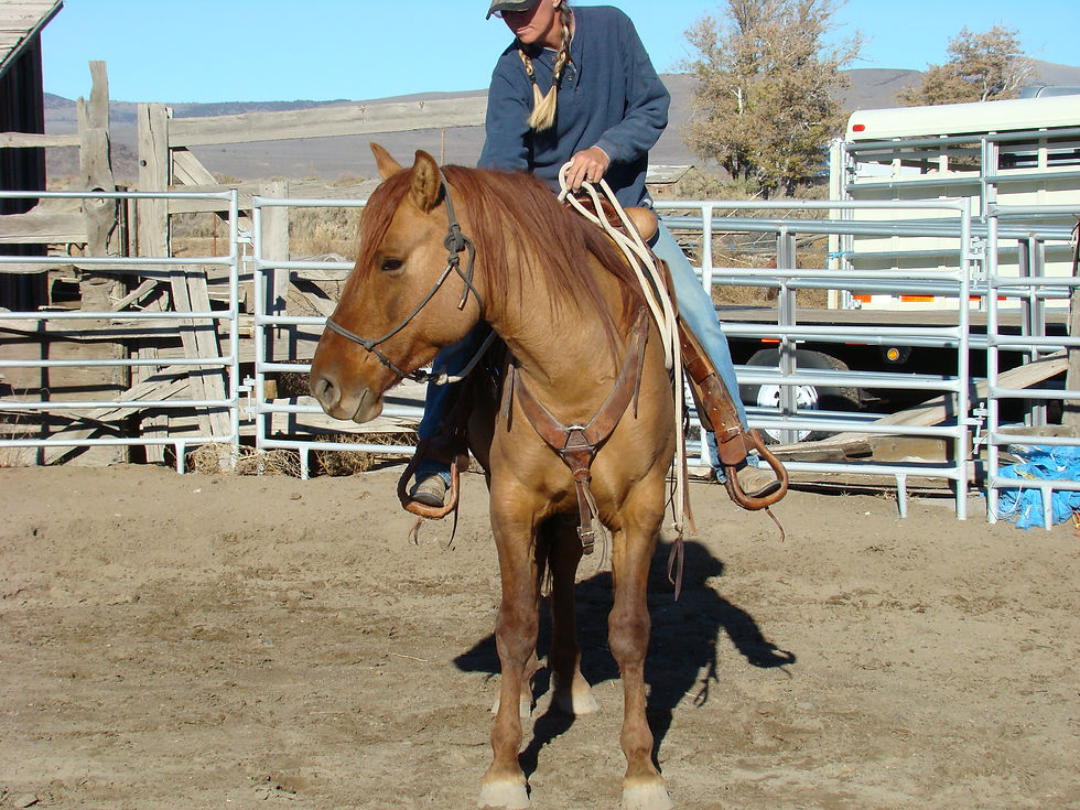 July 2006 Red Ryder