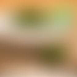 מנקאי: מתכונים ועוד