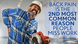 Back Facts to Keep You Active
