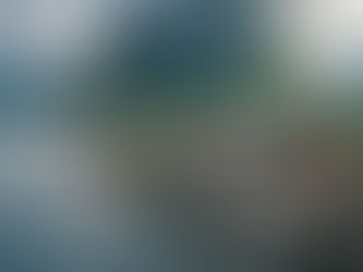 « Les pays scandinaves sont les rois de la transition écologique ». 