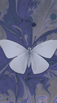 Butterfly on Ink_edited.jpg
