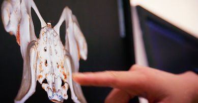 CT Scanner screen close up at Royal Melbourne Hospital