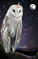 Art Showing October 3rd at Nous Restaurant in Ashland, OR