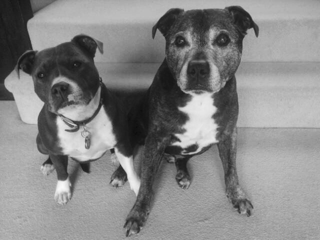 Merlyn and Clyde