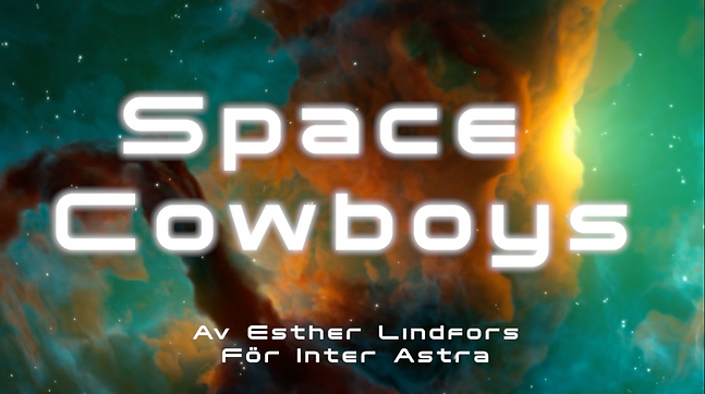 Skärmavbild 2024-05-28 kl. 17.33.58.png