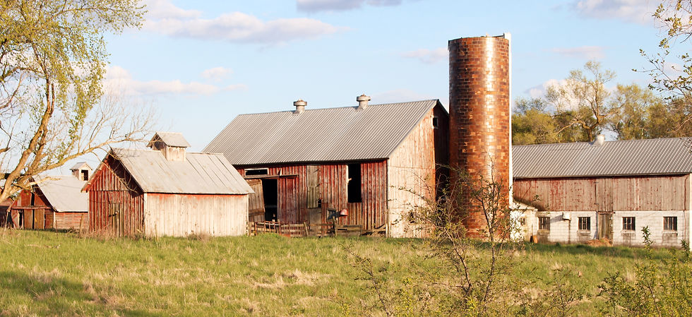 Thumbnail: Barns of Will County