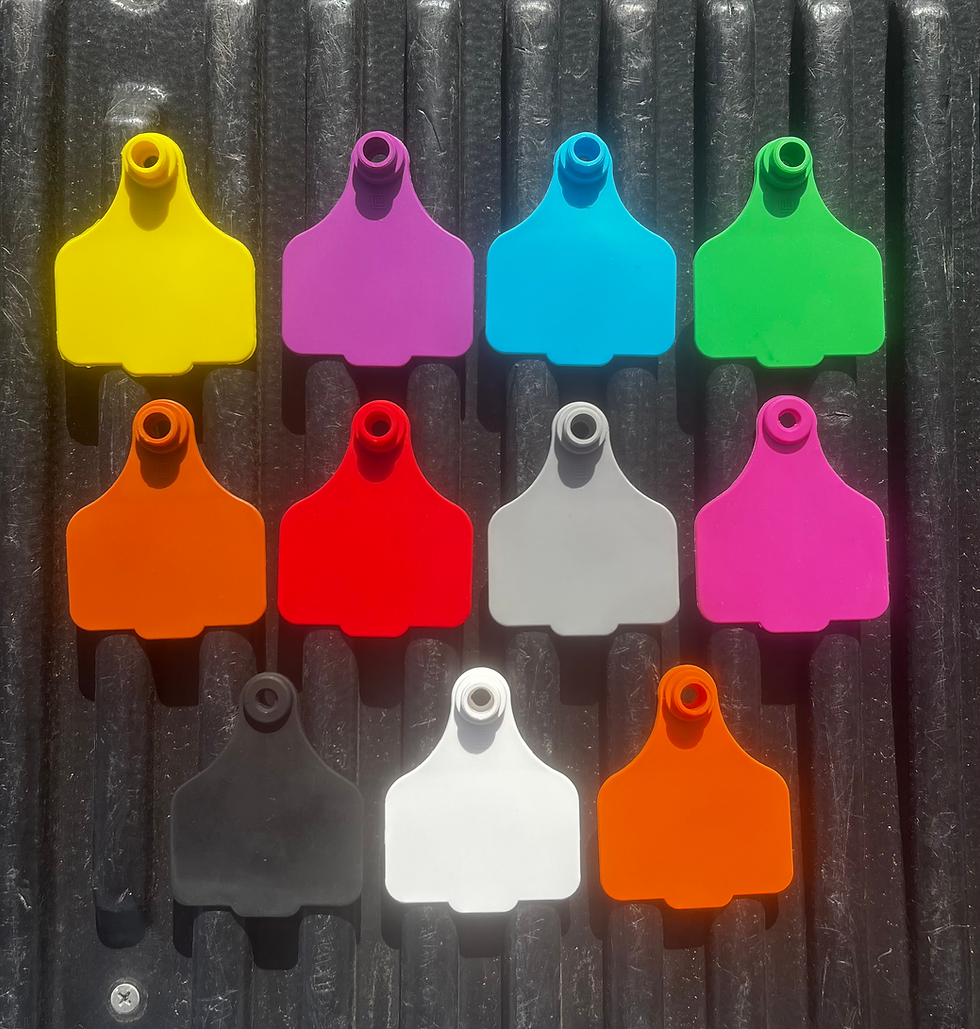 Thumbnail: Rum Pig Cattle Tags