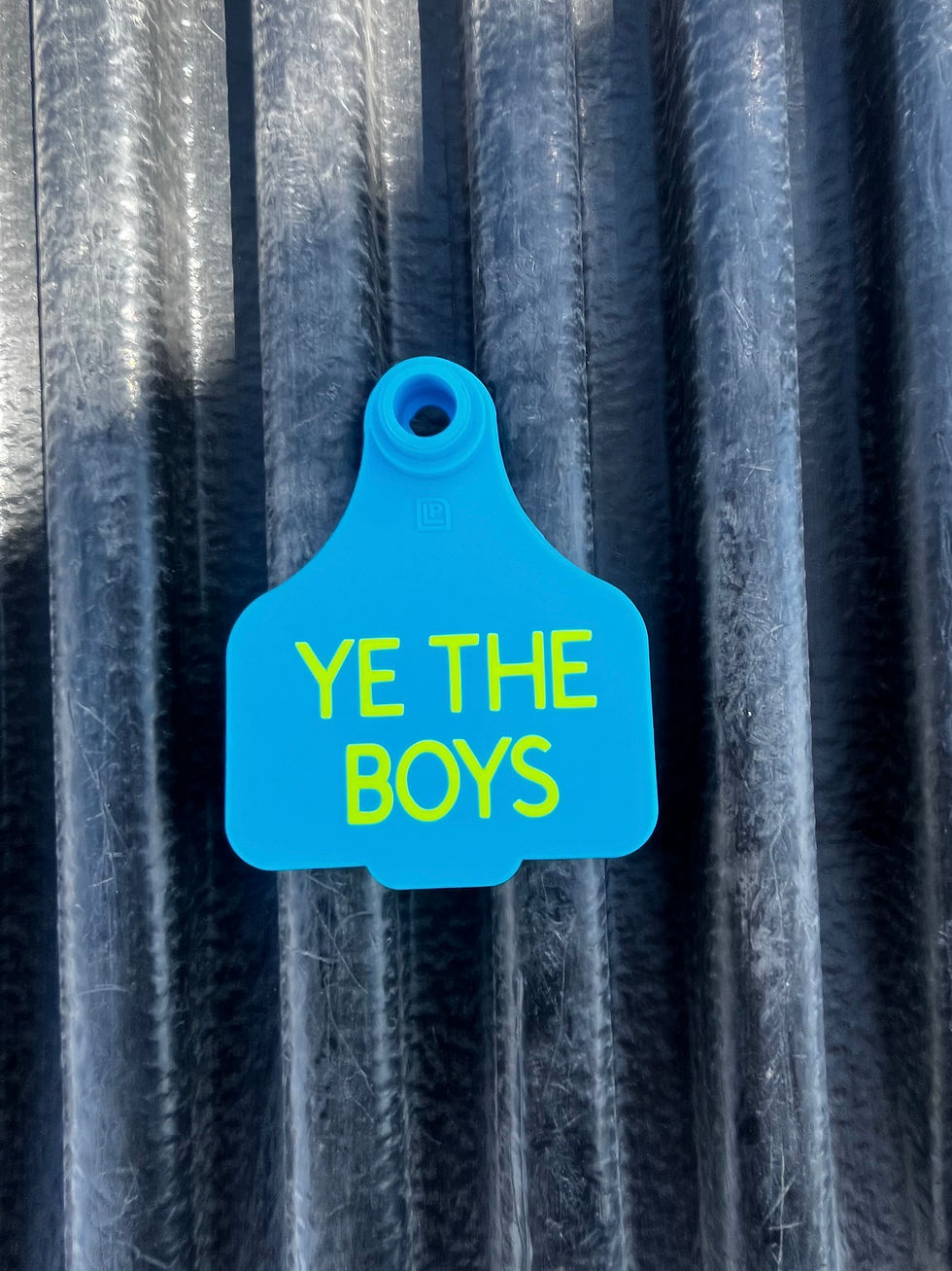 Thumbnail: Ye the boys Cattle Tags