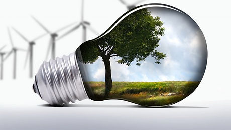 nature-in-bulb_150991352.jpg