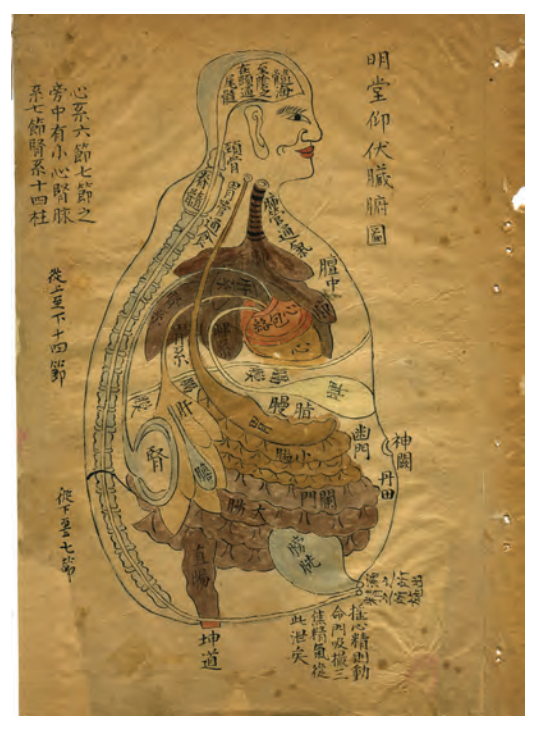 Chinese Medicine