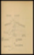 acupuncture