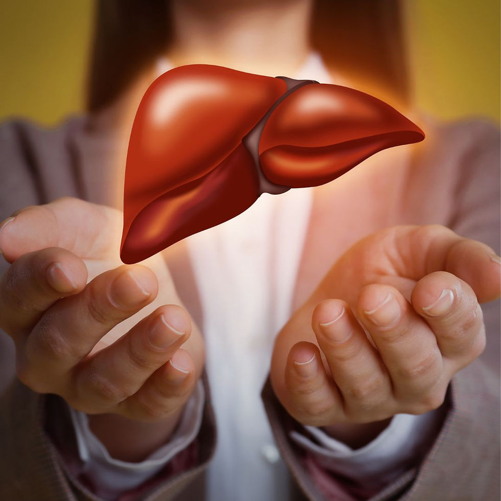 Liver