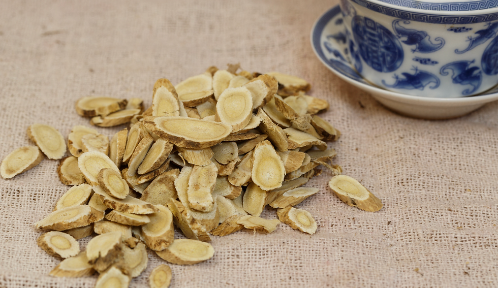 Astragalus