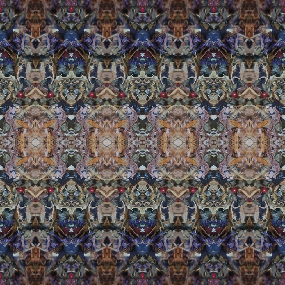 silent forest 23 - Copy.jpg