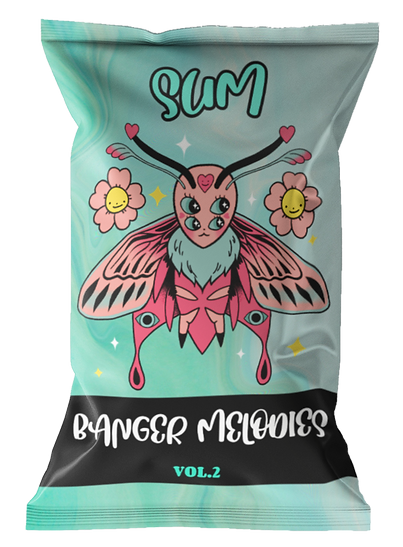 chips-bag-mockup-featuring-a-customizable-background-1538-el1 (6) (1).png