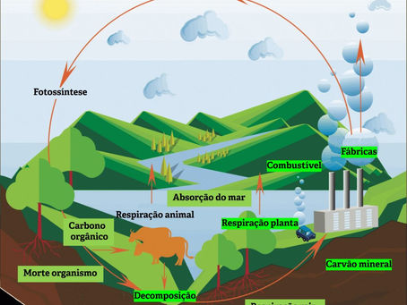Carbono: elemento importante para a vida, é o principal contribuiente para mudanças climáticas
