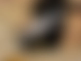 An explanation for everything