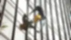 window.webp