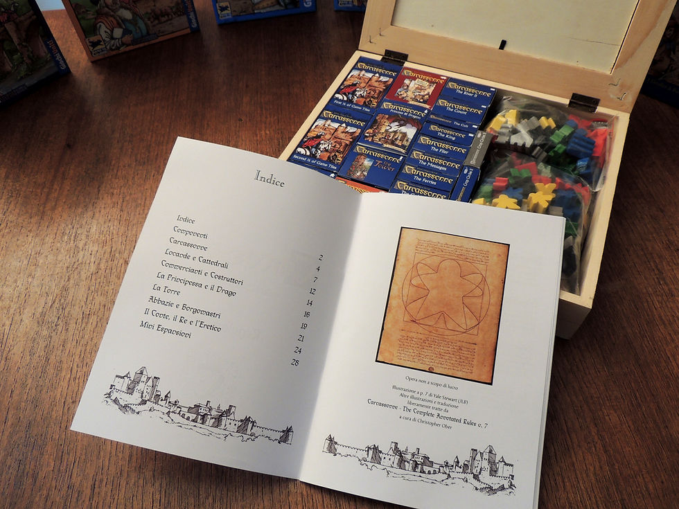Carcassonne custom box set