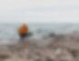 Ocean Coast Photographer