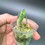 Thumbnail: Alocasia Velvet Ninja Splash - baby plant