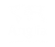 ANGLIA IDIOMAS