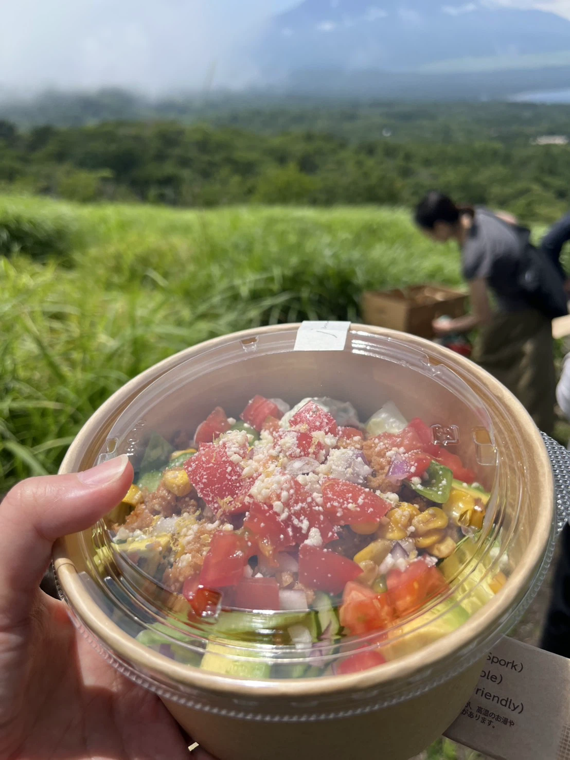 富士山と緑の野原を背景に持ち上げられた色とりどりのサラダボウル。Colorful salad bowl held up with Mount Fuji and lush fields in the background.