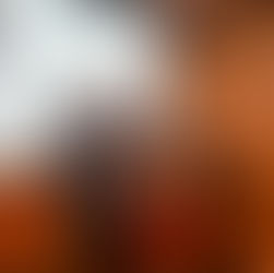 一般社団法人Patanjali Japan Foundationの新理事として三田村真氏が正式に発表された際の集合写真。