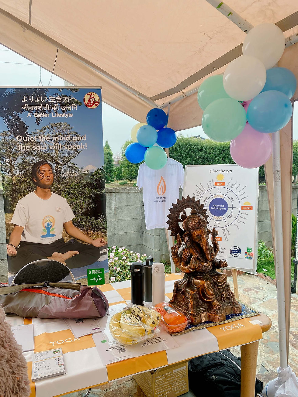 PJF Attended Kartik Purnima Event in Shri Ram Mandir Ibaraki Ken, Bando Shi, Sugaya