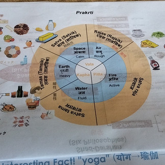 アーユルヴェーダ講義で使われたドーシャと食品タイプのバランスを示すプラクリティ図。