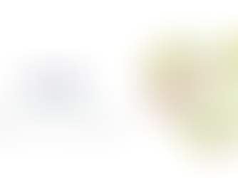 Special Workshop#6 レポートAhar・Agni・Ama ― 消化の智慧