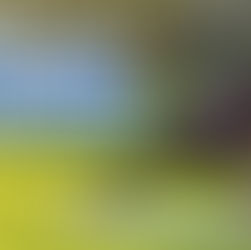 Yoga for Menopause: 8 Easy Poses for Your Symptoms